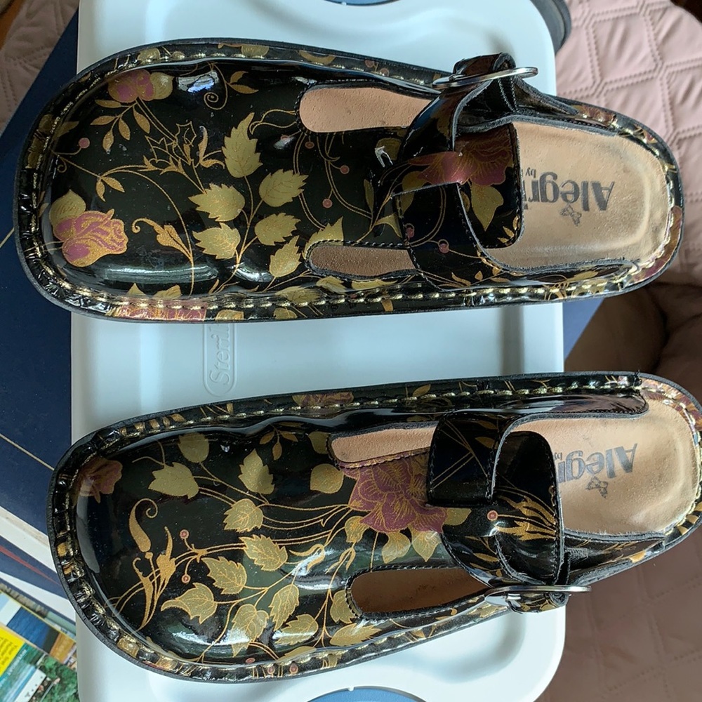 Alegira clogs. Black w/gold,green & rose design